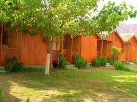 Alibaba Pension РЎıralı