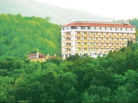 Thermalium Wellness Park Hotel 5*