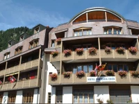 Hotel Viktoria Eden 3*
