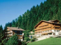 Hotel Waldhaus & Huldi 3*