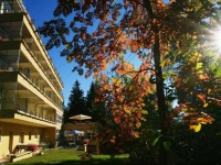 Hotel Bella Lui 3*