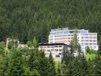 Waldhotel Davos 4*