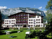 Wellness Hotel Adula 4*