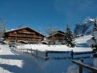Alpenhof Grindelwald 3*