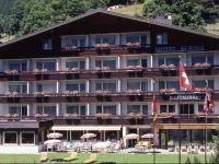 Hotel Restaurant Alpina 3*