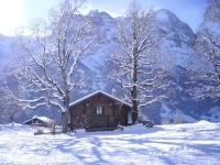 Chalet Bodmisonne