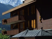 Hotel Bellevue-Wengen 3*