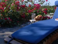 El Duende del Mar 3*