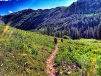 Timberline Condominiums 3*