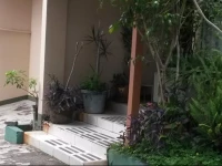 Vida Tropical Bed and Breakfast