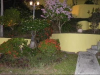 Mediterranean Dreams