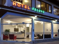 Hotel Pelayo 2*