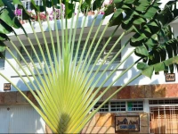 Casa Hotel Jardin Azul 3*