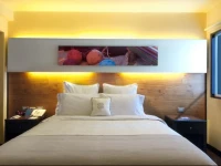 Sonesta Hotel Cusco 4*