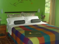 Machu Picchu Green Nature