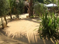 Naif Rustic & Ecologic Lodge