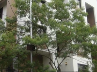 AR Suites Fontana Bay