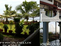 Palm Tree Heritage 3*