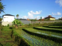 Bali Palmira Villas 3*