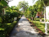 Starlight Hotel Lovina 2*