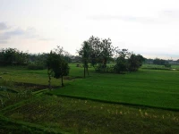 Rumah Kayen Homestay 2*