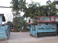 Chitwan Forest Resort