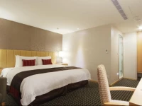 Tokyo International Hotel 4*
