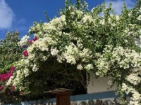 Lagoon Villa Thoddoo 3*