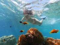 Rosemary Boutique 4*