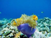 The Bilimbi Guesthouse & Inn