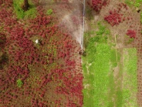 Thoddoo Retreat Grand