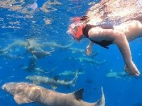 Sunrise by White sand dhigurah  3*