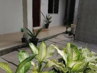 The Rose Garden House -Kodagedhari Magu, Hithadhoo 3*