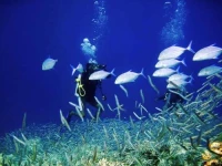 Thulusdhoo Garden Villa 4*