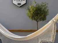 The Frogs Guesthouse