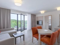 Blue Mountain Resort