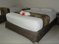 Grand Melanesian Hotel 4*