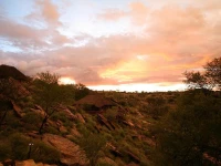 Hochland Nest Lodge 4*