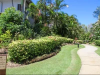 Sandcastles 1770 Motel & Resort 4*