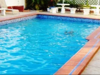 Bananaquit Apartments 1*