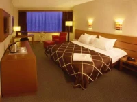 Anatolia Hotel Bursa 4*
