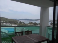 Royal Palm Residence