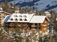 Arena Hotel Steinmattli 4*