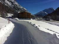 Palu Pontresina 3*