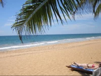 Janus Paradise Rest 2*