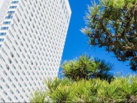 Sheraton Grande Ocean Resort 4*