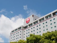 Hotel Nikko Narita 4*