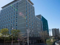 Richmond Hotel Narita 3*