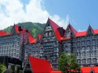 Hotel Green Plaza Hakuba 3*