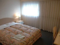 Tottori Washington Hotel Plaza 3*